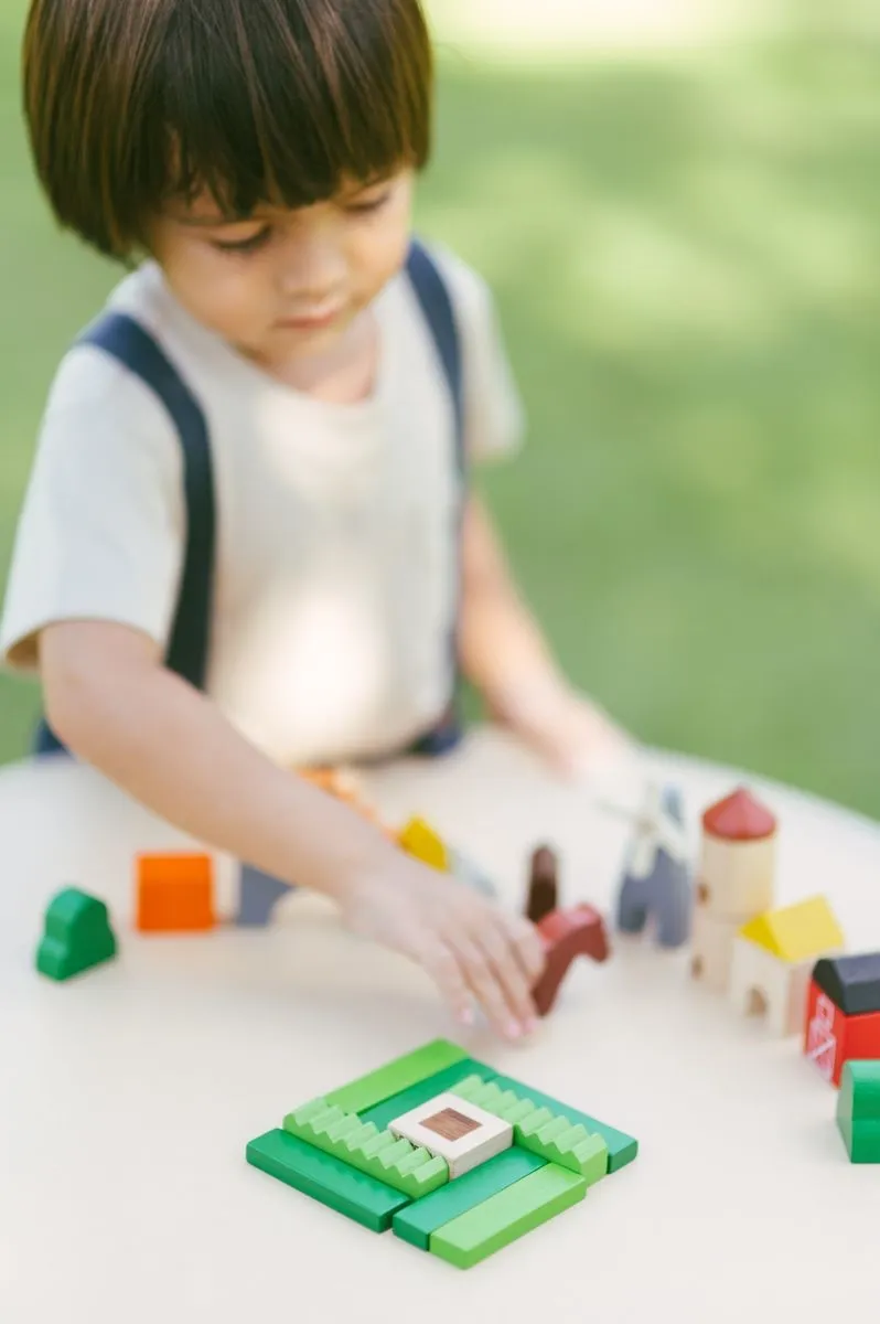 Bloques Campestre Plantoys - Imagen 3