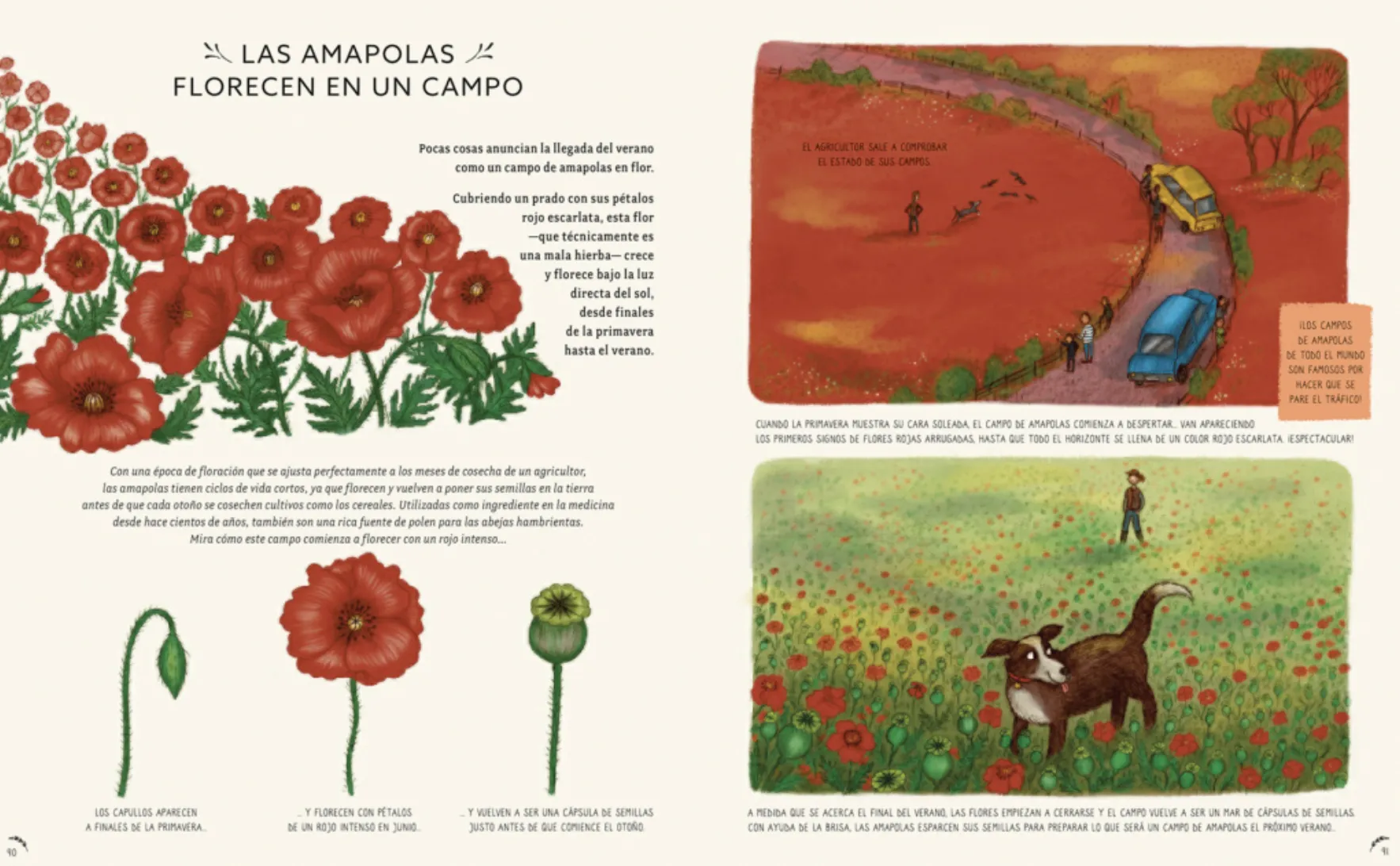 CON CALMA - Imagen 3