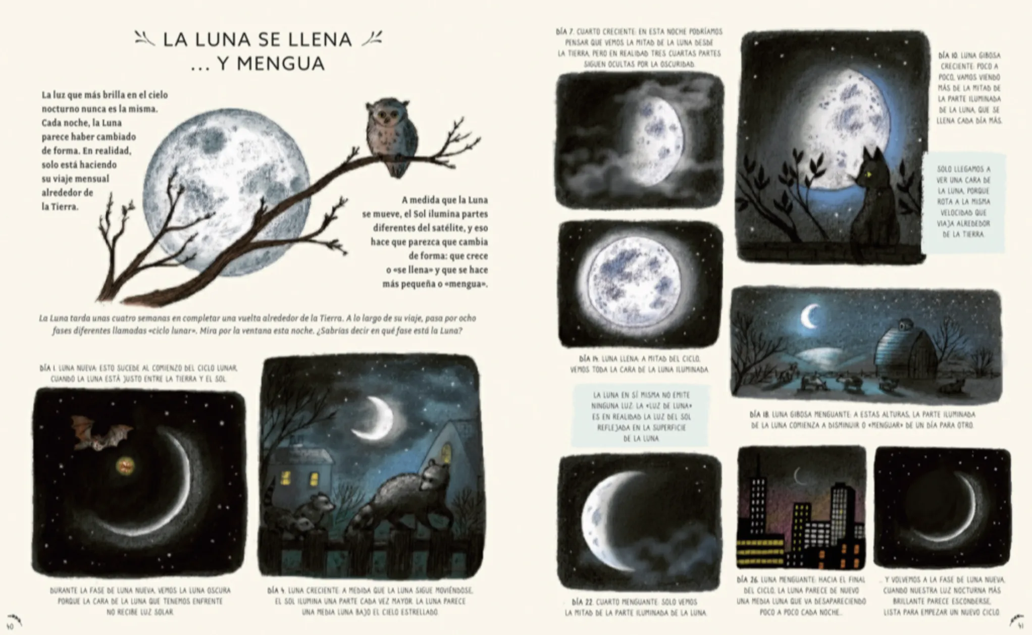 CON CALMA - Imagen 4