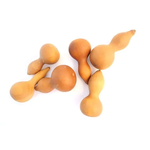 Mini Calabaza - Imagen 2