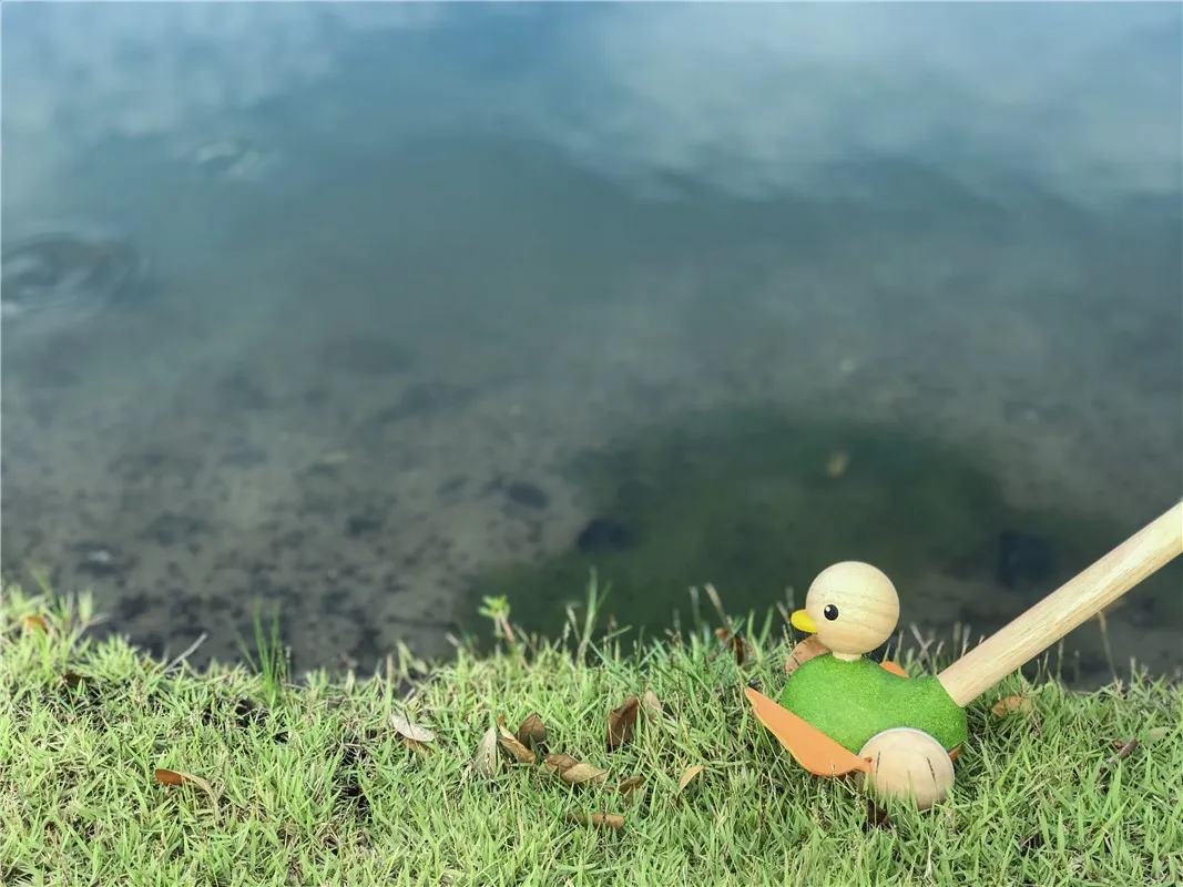 Pasea al Pato PlanToys - Imagen 3