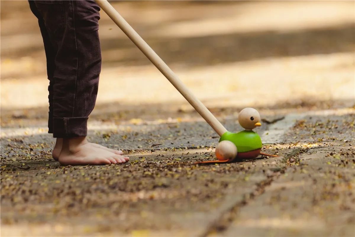 Pasea al Pato PlanToys - Imagen 4