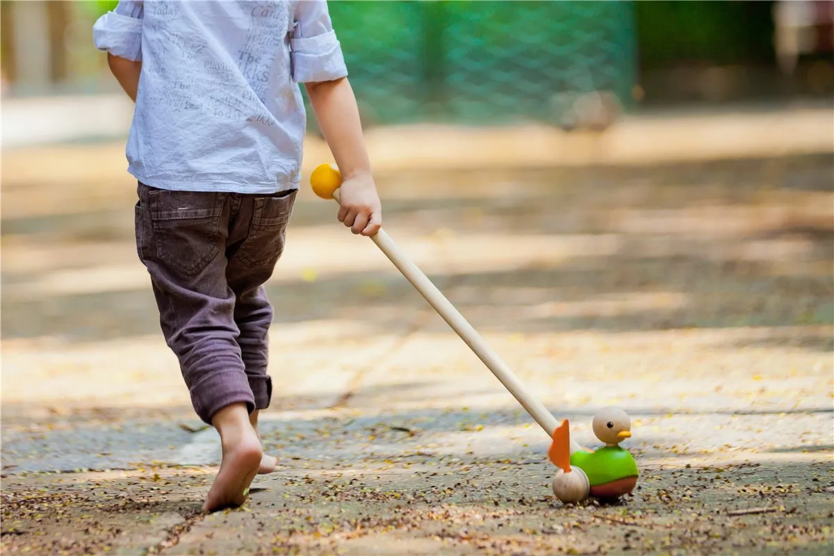 Pasea al Pato PlanToys - Imagen 5