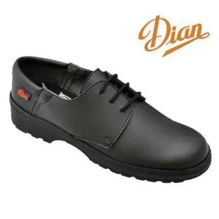 Zapato Dian con cordones Niza
