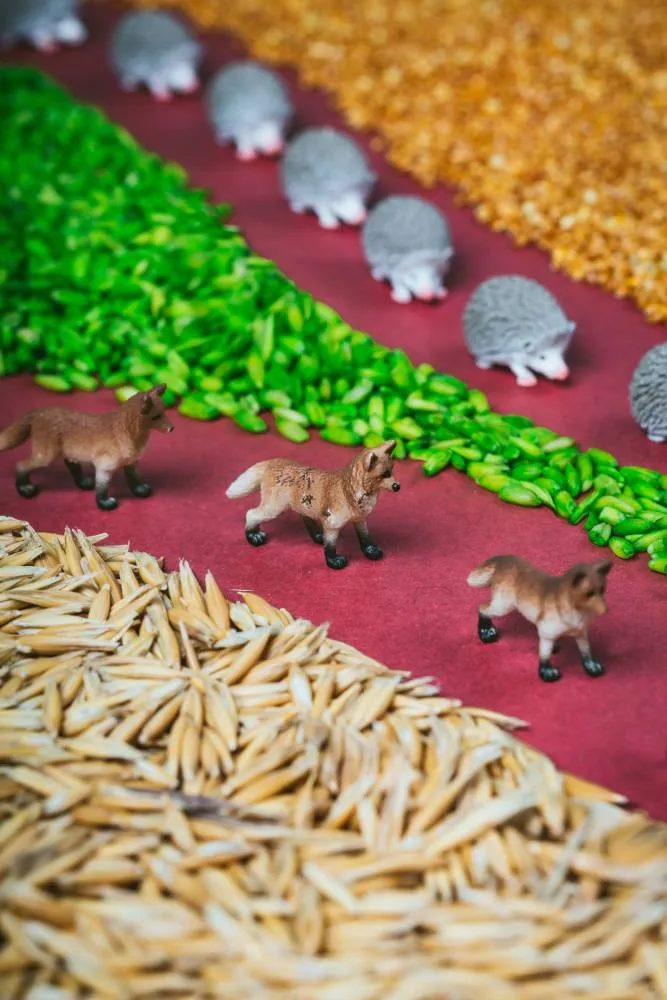 Petit Boum Spy Bottle Forest - Imagen 3