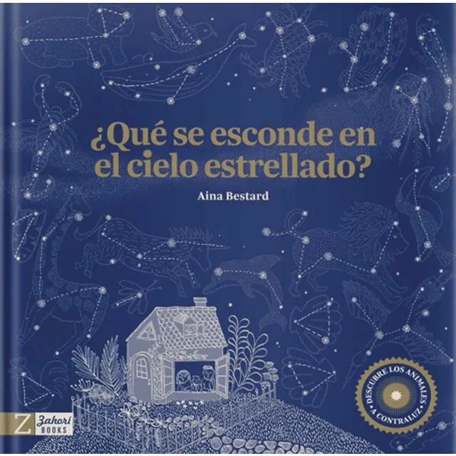 ¿QUÉ SE ESCONDE EN EL CIELO ESTRELLADO?