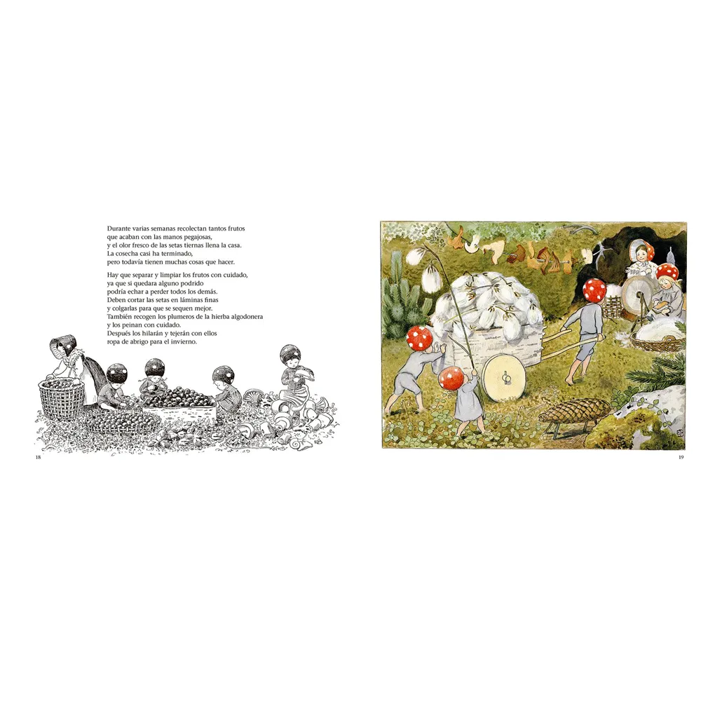 LOS NIÑOS DEL BOSQUE - Imagen 4