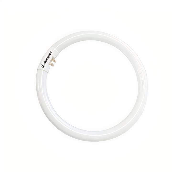 Tubo Circular 22W LD 6500K # 30003 Westinghouse